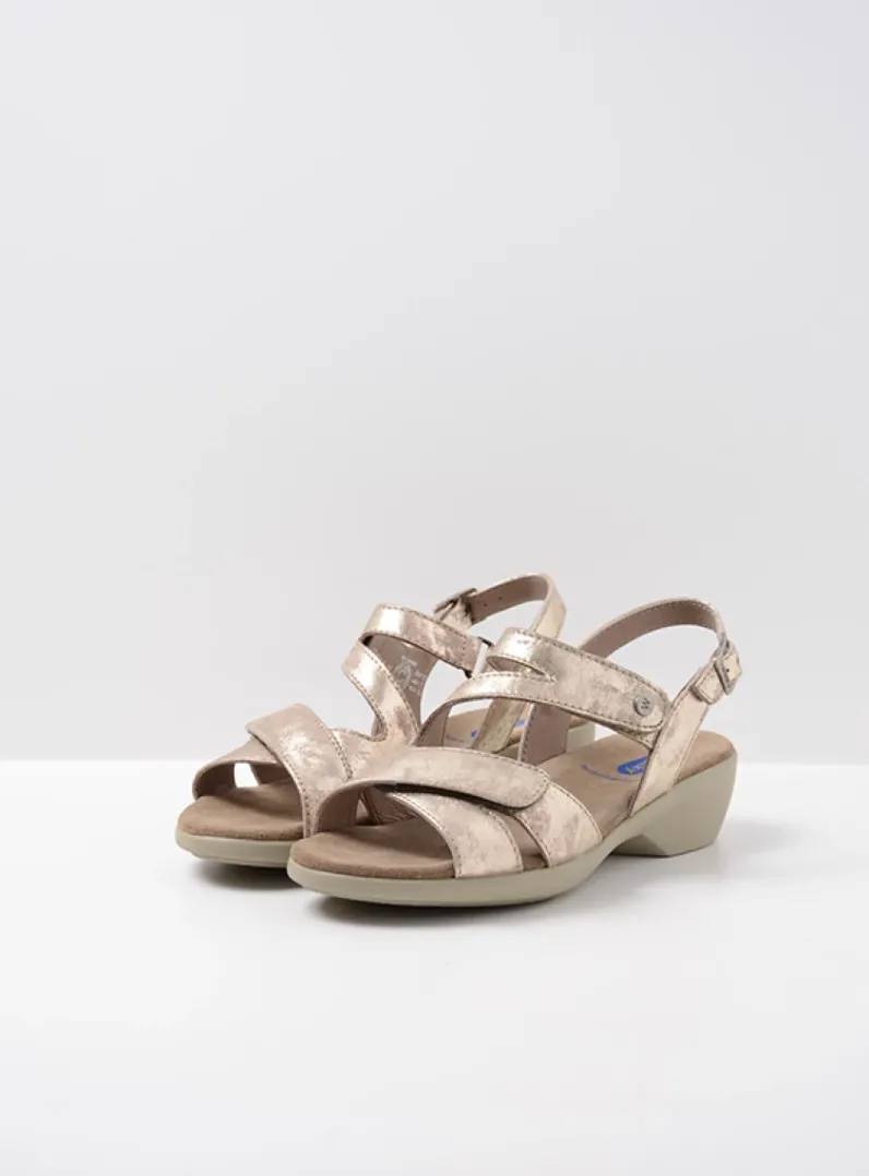 Discount Wolky Fria - champagne nubuck champagnenubuck